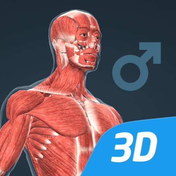 Zdjęcie: Human body (male) educational VR 3D - czyli... ...